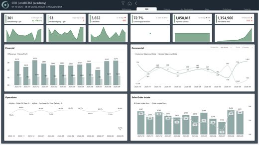 oneBC365-rapportside: Dashboard til direktøren