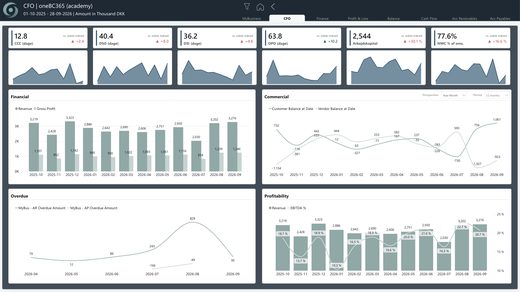 oneBC365-rapportside: Dashboard til økonomichefen