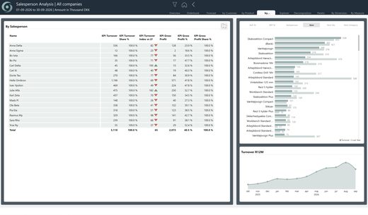oneBC365-rapportside: Sales Salesperson Analysis